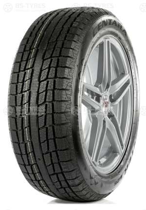 Centara Winter RX626 255/55 R20 110T