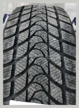 Delinte Winter WD1 205/55 R16 91T