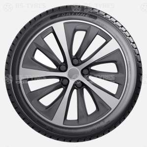 Fortuna FSR-401 205/55 R17 95W
