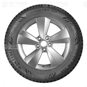 Ikon (Nokian Tyres) Character Ice 7 (Nordman 7) 205/65 R15 99T