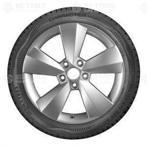 Ikon (Nokian Tyres) Character Snow 2 (Nordman RS2) 185/60 R15 88R