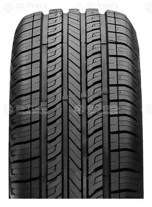 Roadian 541