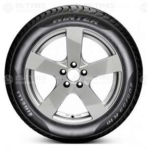 Cinturato Winter
